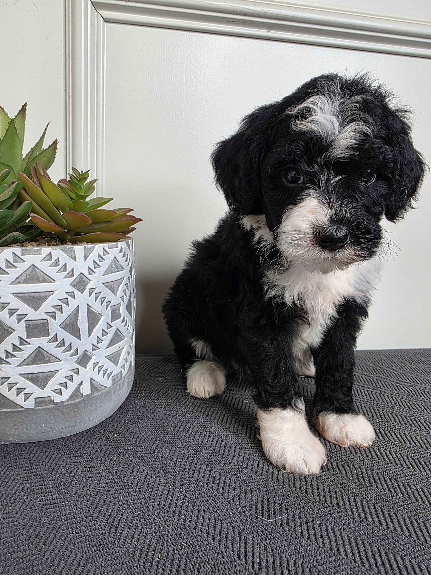 Female 3 - Zoey
