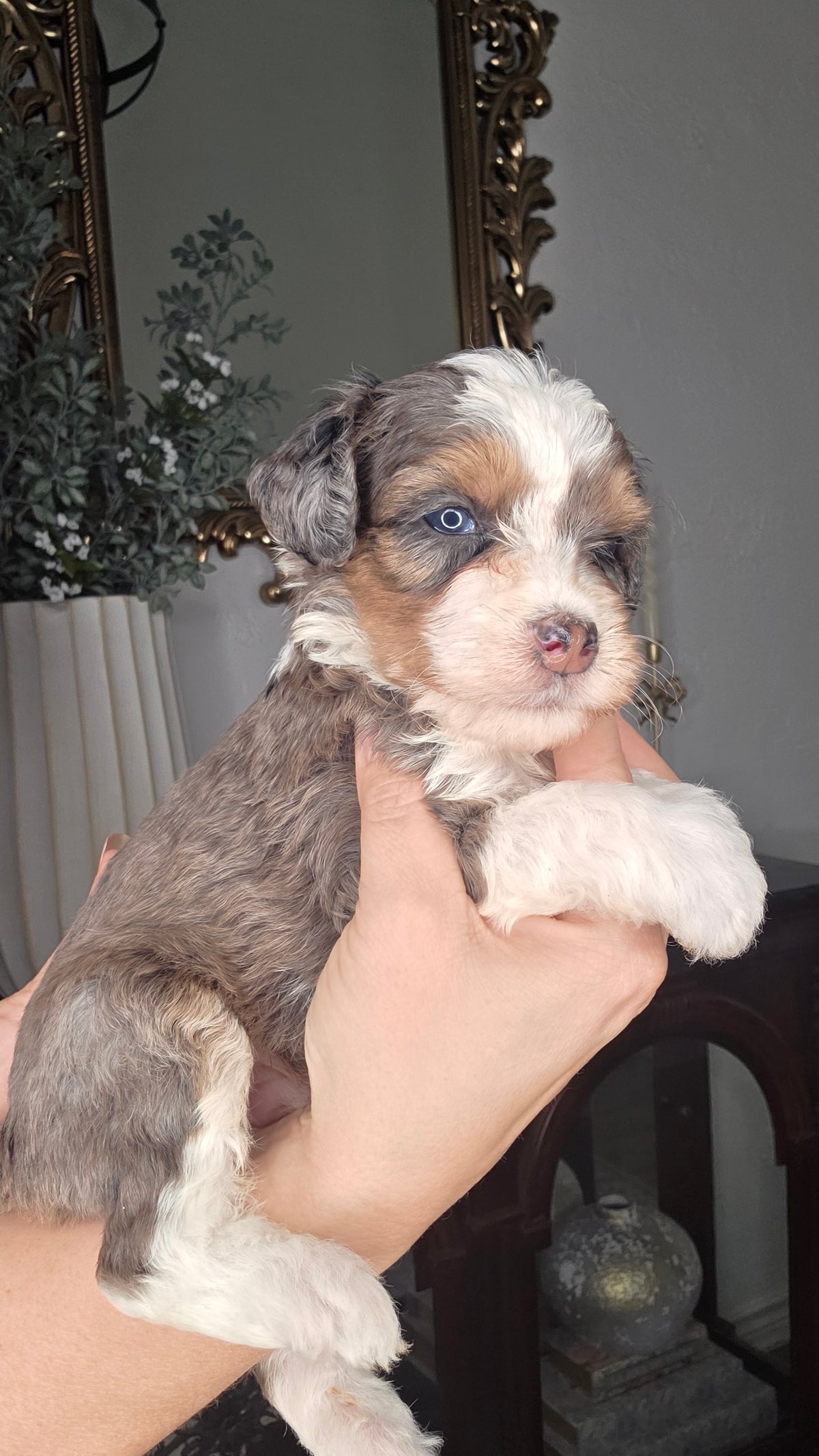 Tucker