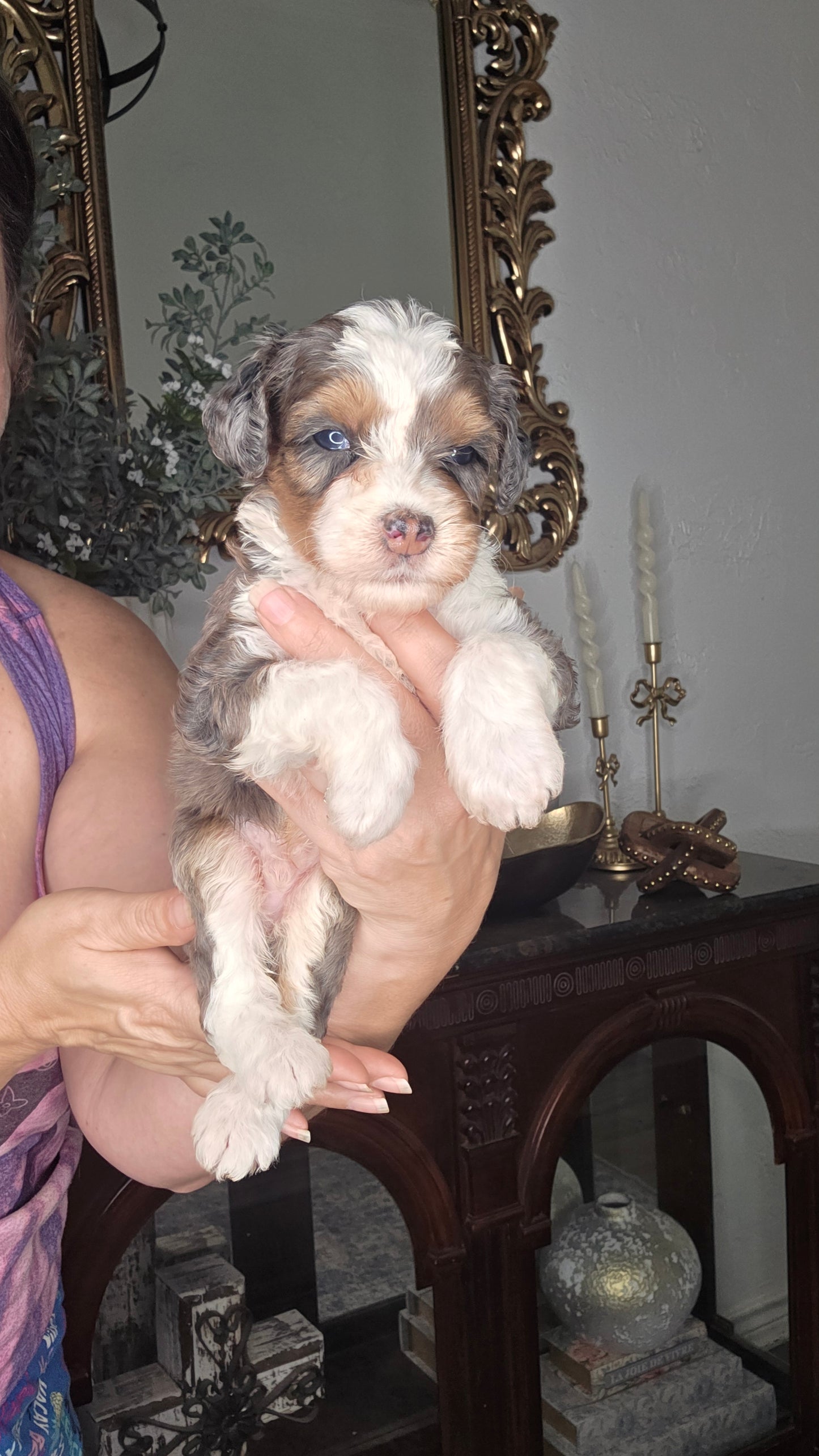 Tucker